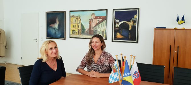 Ponuda partnerstva institucijama BiH u realizaciji aktivnosti na prijenosu znanja dijaspore